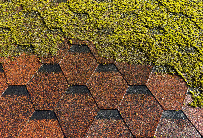 Roof before and after professional cleaning showing transformation from dirty to clean